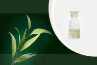 ইউক্যালিপটাস তেলের নানা সব গুণ  