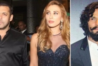 সালমান নয়, রণদীপের সঙ্গে জুটি গড়ছেন লুলিয়া