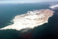 একেবারেই বাস্তব ঘটনা, একলা দ্বীপে একা নারী ১৮ বছর!