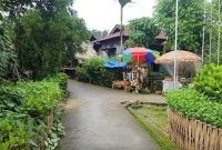 এশিয়ার সবচেয়ে পরিচ্ছন্ন গ্রাম, রাস্তায় নেই একবিন্দু ময়লা!