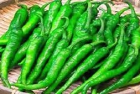 আসুন জেনে নেই দীর্ঘদিন কাঁচা মরিচ তাজা রাখার উপায়