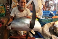 বাসি মাছকে টাটকা দেখাতে আজব কাণ্ড বিক্রেতার,  যা সত্যিই নজিরবিহীন!