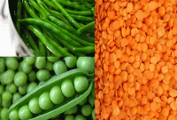 যেসব নিরামিষ খাবারেও প্রোটিন আছে