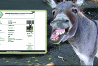 পরীক্ষার প্রবেশপত্র পেলো গাধা!