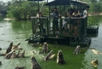 এক ধনী ব্যক্তি ঘোষণা করলেন যে তার কুমির চাষের পুকুরটি সাঁতরে পার হবে, তাকে তার কন্যার সাথে….