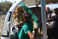 এই বিদেশিদের সাহস দেখে তাজ্জব তামাম গোটা দুনিয়া!