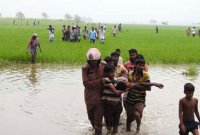 পাটখেতে বজ্রপাত, ঘটনাস্থলেই পুড়ে অঙ্গার ৪ জন