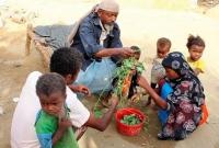 ক্ষুধার জ্বালায় গাছের পাতা সিদ্ধ করে খাচ্ছে ইয়েমেনের মানুষ!