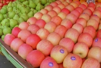 বেশি বিক্রি করায় চাকরি হারালেন বিক্রয় কর্মী! 