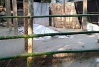 তার দাফন-কাফন ফেরেশতারাই করেছেন!