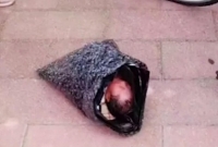 সদ্যোজাত সন্তানকে প্লাস্টিকে ভরলেন মা, তার পরে ক্যুরিয়ার করলেন কিন্তু কেন?