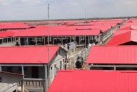 ভাসানচরে রোহিঙ্গা বসবাসের উপযোগী করে তোলার প্রক্রিয়া প্রায় সম্পন্ন