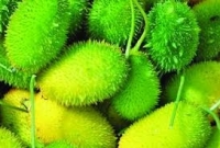 কাঁকরোলকে ‘স্বর্গীয় ফল’বলা হয় কেন জানেন?