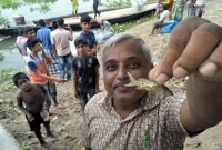 দুধ ঢালতেই বেরিয়ে এলো জীবন্ত ট্যাংরা মাছ! তিন মাসের কারাদণ্ড