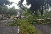 ঘুর্ণিঝড় তিতলির তাণ্ডব শুরু, লণ্ডভণ্ড গোপালপুর