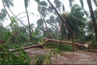 বাড়ছে তিতলির ভয়াবহতা, এখন পর্যন্ত আটজনের প্রাণহানির খবর