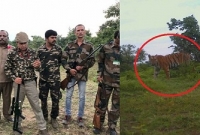 ১০০ শুটার নিয়ে ব্যাপক তল্লাশি অভিযান!