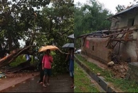  ঘুর্ণিঝড় ‘তিতলি’র কারণে লণ্ডভণ্ড এই জেলা!