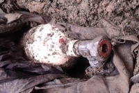 কবর খুঁড়তে গিয়ে যা পাওয়া গেল তাতে অবাক সবাই!