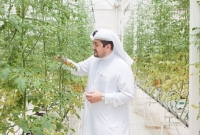 সৌদির অবরোধ কাতারে যেভাবে এনে দিল কৃষি বিপ্লব!