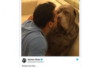 প্রিয় কুকুরের মৃত্যুতে একদম ভেঙে পড়েছেন সালমান খান!