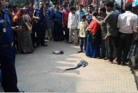 যে ছবি হার মানাচ্ছে মানবতাকে! সামাজিক মাধ্যমে শোকের মাতাম যে ছবি হার মানাচ্ছে মানবতাকে! সামাজিক মাধ্যমে শোকের মাতাম