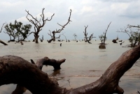 মাত্র ৬ ঘণ্টা জেগে থাকে এই রহস্যময় দ্বীপ!