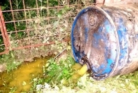 ঘি বিক্রি করে রাতারাতি কোটিপতি জামাই-শ্বশুর! অবশেষে…