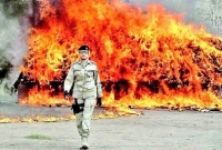 সোশ্যাল মিডিয়া কাঁপাচ্ছেন এই পাকিস্তানি নারী!