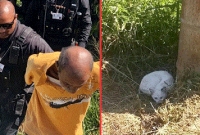 বিড়ালের সঙ্গে এ ধরনের জঘন্যকর্ম কেউ করতে পারে!