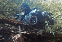 হাইওয়ে থেকে গাছের ডালে গাড়ি, একটানা আহার ছাড়া ৬ দিন পরও বেঁচে ফিরলেন নারী চালক!