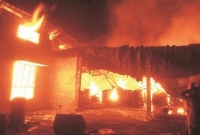 মাকড়সা মারতে গোটা বাড়িতে আগুন!