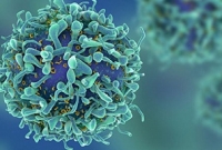  এই মারণ রোগের থাবায় এ বছরই মারা যাবেন প্রায় এক কোটি মানুষ!