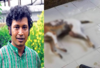 অভিনেতা প্রাণ রায়ের পোষা কুকর খেতে গিয়ে আটক দুই চীনা নাগরিক