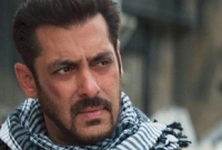 ভারতের মাটিতে পাক পতাকা উত্তোলন করে ঝামেলায় সালমান?