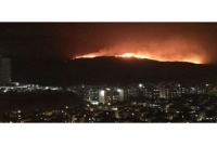 ভারতের মুম্বাইয়ে অ্যারে বনাঞ্চলে চার কিলোমিটার জুড়ে ভয়াবহ আগুন