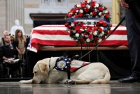 জর্জ বুশের মরদেহের পাশে পোষা কুকুরের কান্না!