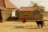  এই গ্রামে ৪০০ বছর ধরে জন্মায় না কোনও শিশু! কেন জেনে নিন