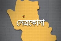 আ.লীগের প্রচারণায় পেট্রোল বোমা নিক্ষেপ, আহত ৬