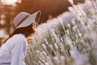 যে চারটি বিষয় সৌভাগ্যের জন্য গুরুত্বপূর্ণ 