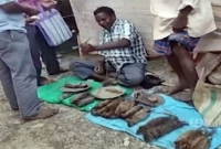 বিপুল চাহিদা ইঁদুরের মাংস'র, প্রতি কেজি ২০০ টাকায় বিক্রি!