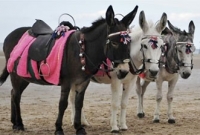 বিশ্বের অদ্ভুত ধরণের কিছু সাজা