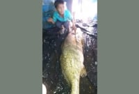 টেকনাফে ৩৫ কেজির পোয়া মাছ, দাম শুনলে চমকে যাবেন