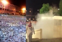 হঠাৎ পবিত্র কাবার ওপরে পালে পালে ঘাস ফড়িং 