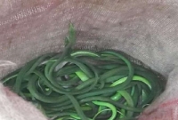 ব্যাগ খুলেই হতভম্ব পুলিশ!