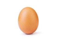 একটি ডিমের ছবি, আর কিছু নেই; কিন্তু সেই ছবিটিই গড়েছে বিশ্বরেকর্ড!