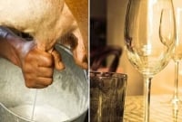 মদের চেয়ে দুধ বেশি ক্ষতিকর!