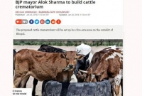 ভারতে এবার গরুর জন্য শ্মশান!