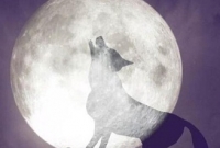 বছরের প্রথম পূর্ণিমা ‘সুপার ব্লাড উল্ফ মুন’আসলে কী?