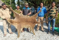  চিতাবাঘের মাংস দিয়ে পিকনিক!